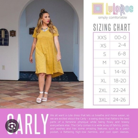 NWT- LuLaRoe Carly Hi-Lo Swing Dress - Size Small - Picture 6 of 6